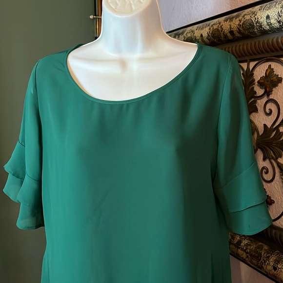 Cutest Ann Taylor  Green Semi Sheer Ruffle Sleeves Top Sz S - Picture 2 of 9